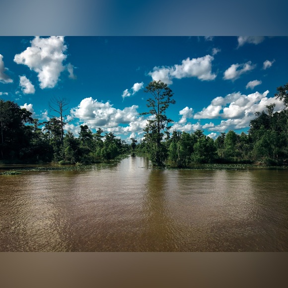 Meet your Posher, Kris🙋🏻♀️ - Picture 11 of 17